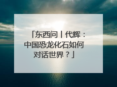 东西问丨代辉：中国恐龙化石如何对话世界？
