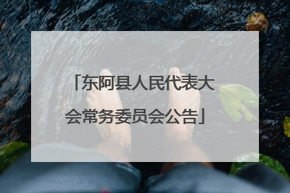 东阿县人民代表大会常务委员会公告