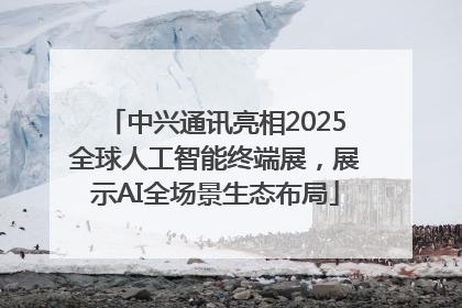 中兴通讯亮相2025全球人工智能终端展，展示AI全场景生态布局