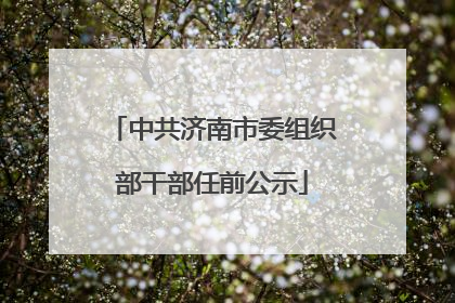 中共济南市委组织部干部任前公示