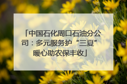 中国石化周口石油分公司：多元服务护“三夏” 暖心助农保丰收