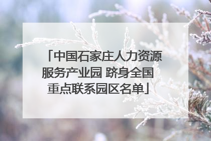 中国石家庄人力资源服务产业园 跻身全国重点联系园区名单
