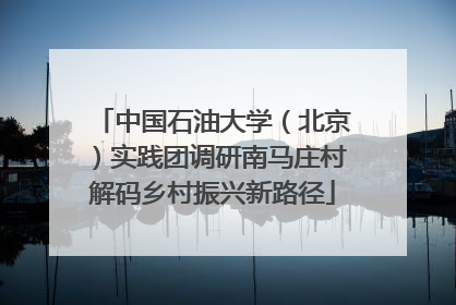 中国石油大学（北京）实践团调研南马庄村解码乡村振兴新路径