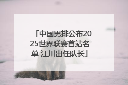 中国男排公布2025世界联赛首站名单 江川出任队长