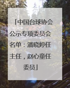 中国台球协会公示专项委员会名单：潘晓婷任主任，赵心童任委员
