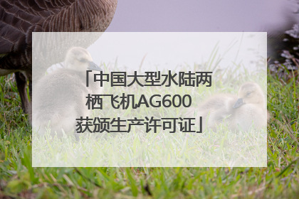 中国大型水陆两栖飞机AG600获颁生产许可证