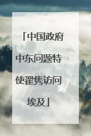 中国政府中东问题特使翟隽访问埃及