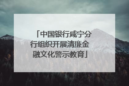 中国银行咸宁分行组织开展清廉金融文化警示教育