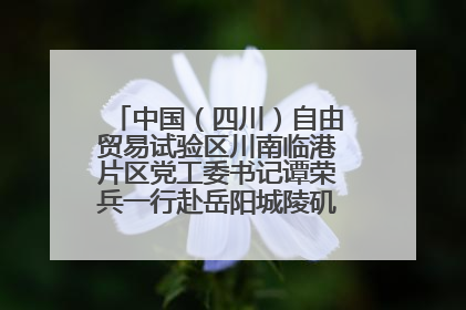 中国（四川）自由贸易试验区川南临港片区党工委书记谭荣兵一行赴岳阳城陵矶综保区考察