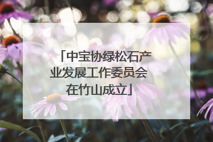 中宝协绿松石产业发展工作委员会在竹山成立