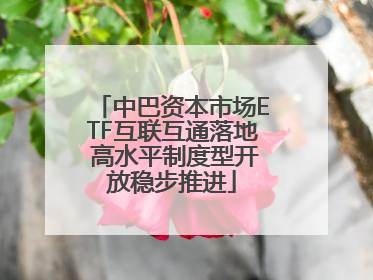 中巴资本市场ETF互联互通落地 高水平制度型开放稳步推进