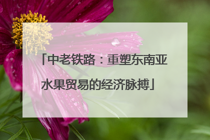中老铁路：重塑东南亚水果贸易的经济脉搏