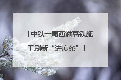 中铁一局西渝高铁施工刷新“进度条”