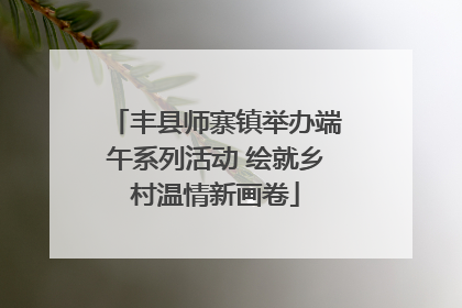 丰县师寨镇举办端午系列活动 绘就乡村温情新画卷