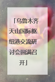 乌鲁木齐天山国际枢纽港交流研讨会圆满召开