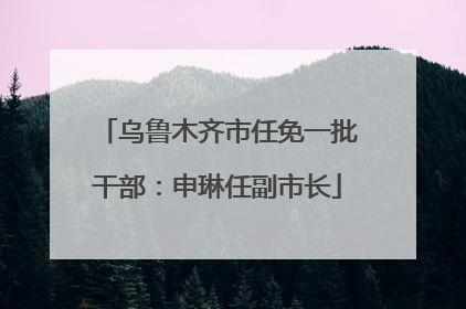 乌鲁木齐市任免一批干部：申琳任副市长