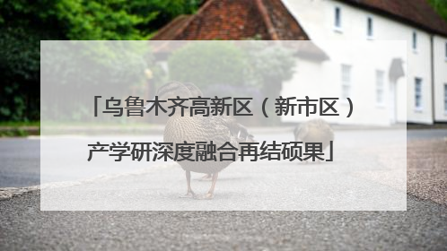 乌鲁木齐高新区（新市区）产学研深度融合再结硕果
