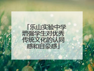 乐山实验中学增强学生对优秀传统文化的认同感和自豪感