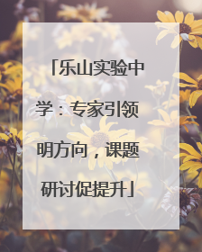 乐山实验中学：专家引领明方向，课题研讨促提升