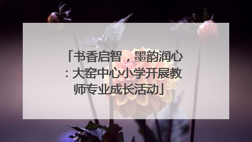 书香启智，墨韵润心：大窑中心小学开展教师专业成长活动