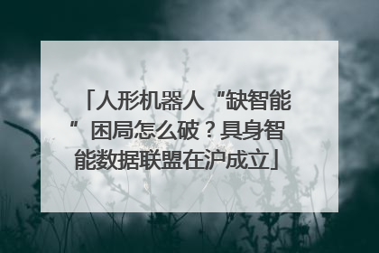 人形机器人“缺智能”困局怎么破？具身智能数据联盟在沪成立