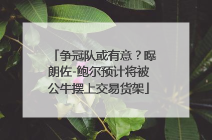 争冠队或有意？曝朗佐-鲍尔预计将被公牛摆上交易货架