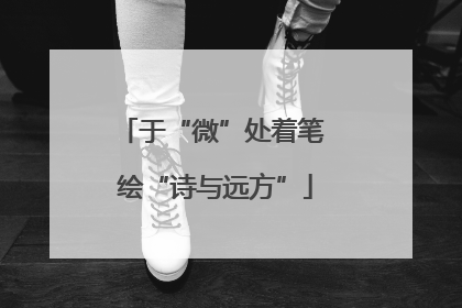 于“微”处着笔 绘“诗与远方”