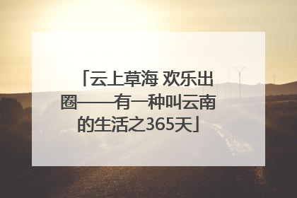 云上草海 欢乐出圈——有一种叫云南的生活之365天