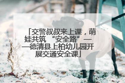 交警叔叔来上课，萌娃共筑 “安全路”——德清县上柏幼儿园开展交通安全课