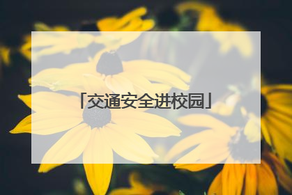 交通安全进校园