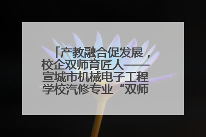 产教融合促发展，校企双师育匠人——宣城市机械电子工程学校汽修专业“双师”教学月活动收官