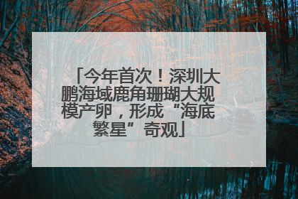 今年首次！深圳大鹏海域鹿角珊瑚大规模产卵，形成“海底繁星”奇观