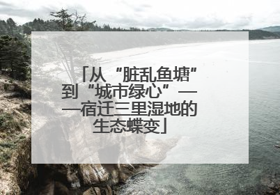 从“脏乱鱼塘”到“城市绿心”——宿迁三里湿地的生态蝶变