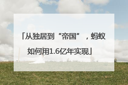 从独居到“帝国”，蚂蚁如何用1.6亿年实现