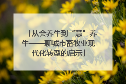 从会养牛到“慧”养牛——聊城市畜牧业现代化转型的启示