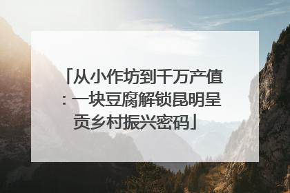 从小作坊到千万产值：一块豆腐解锁昆明呈贡乡村振兴密码