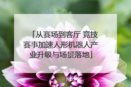 从赛场到客厅 竞技赛事加速人形机器人产业升级与场景落地