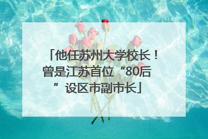 他任苏州大学校长！曾是江苏首位“80后”设区市副市长