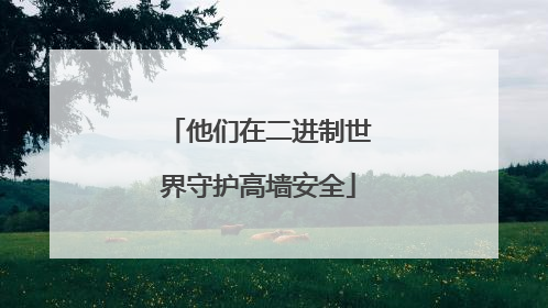 他们在二进制世界守护高墙安全