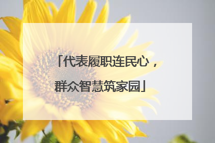 代表履职连民心，群众智慧筑家园