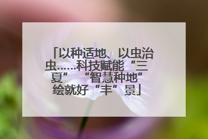 以种适地、以虫治虫……科技赋能“三夏” “智慧种地”绘就好“丰”景