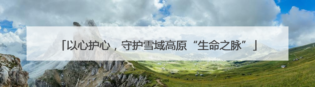 以心护心，守护雪域高原“生命之脉”
