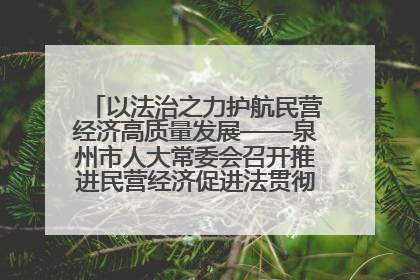 以法治之力护航民营经济高质量发展——泉州市人大常委会召开推进民营经济促进法贯彻实施座谈会
