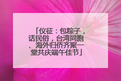 仪征：包粽子，话民俗，台湾同胞、海外归侨齐聚一堂共庆端午佳节