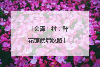 会泽上村：鲜花铺就增收路