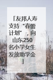 友邦人寿支持“春蕾计划”，向山东250名小学女生发放助学金