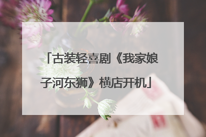 古装轻喜剧《我家娘子河东狮》横店开机