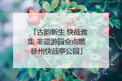 古韵新生 快哉雅集 非遗游园会点燃徐州快哉亭公园