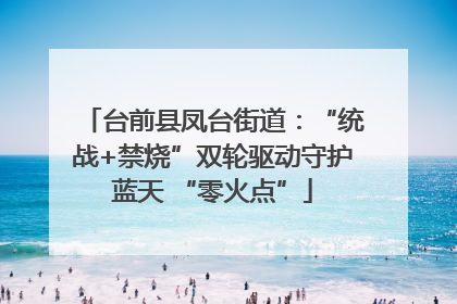 台前县凤台街道：“统战+禁烧”双轮驱动守护蓝天 “零火点”
