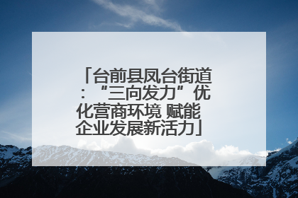 台前县凤台街道：“三向发力”优化营商环境 赋能企业发展新活力